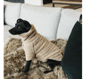 KENTUCKY hunde pullover Teddy Fleece